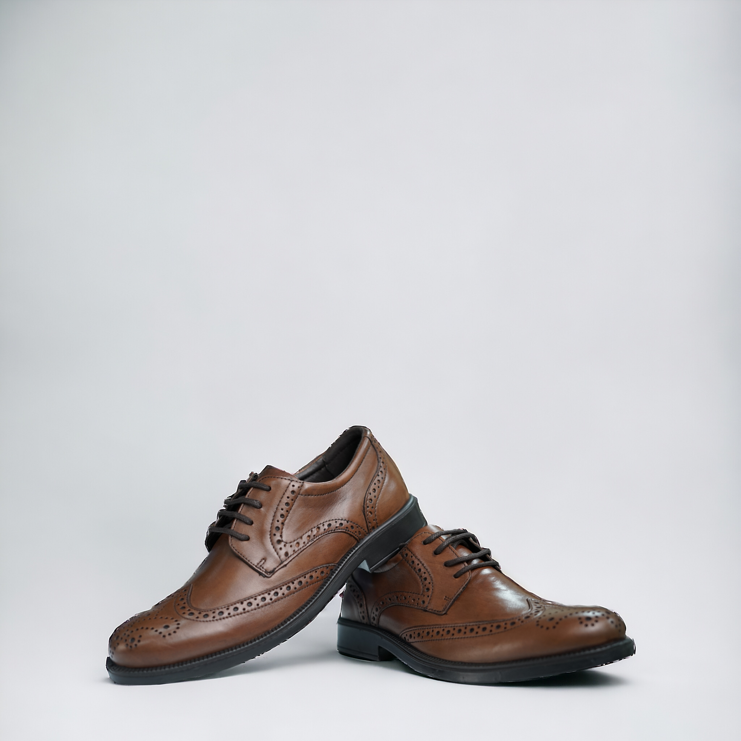 Brogue Silvio - STILNOVO