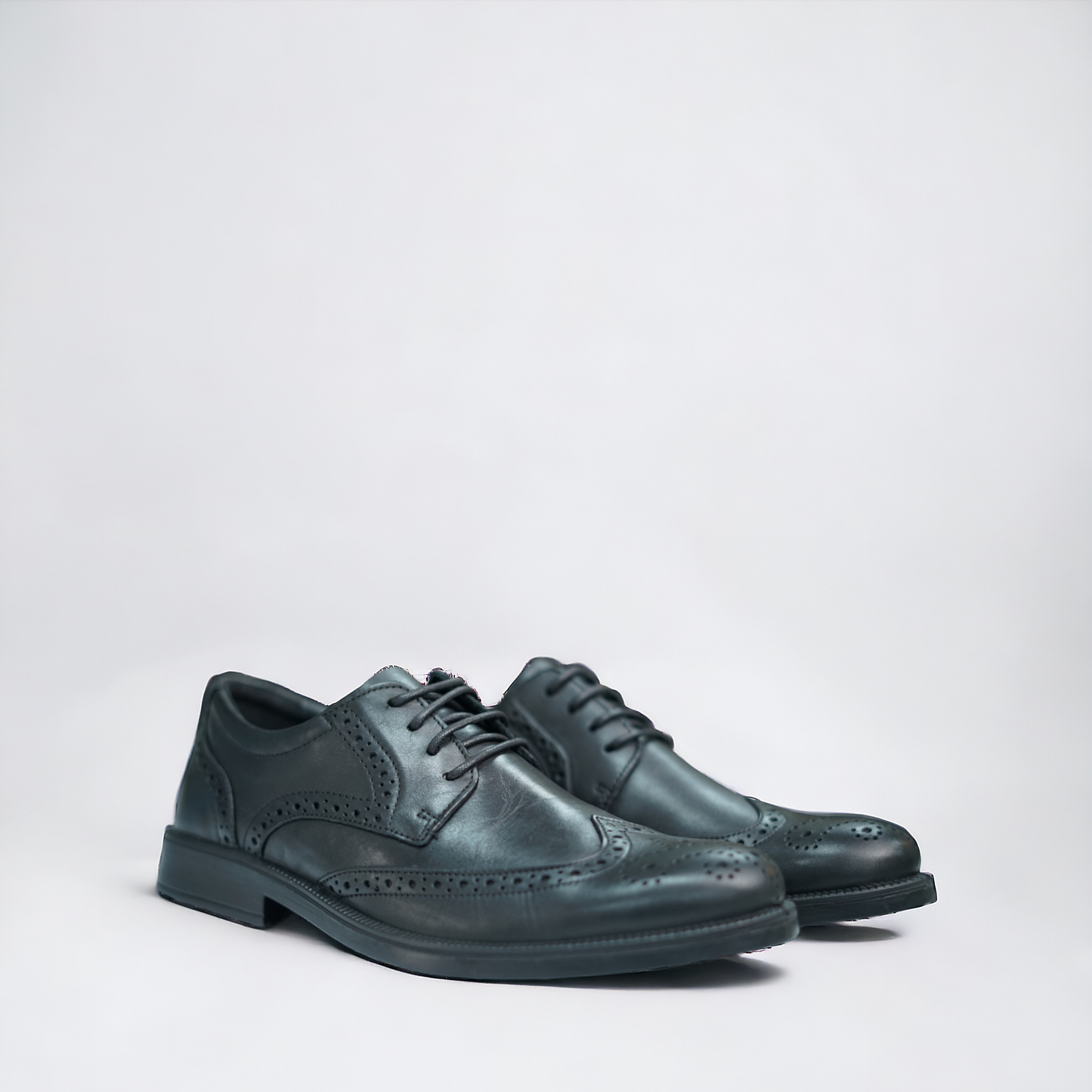 Brogue Giorgio - STILNOVO
