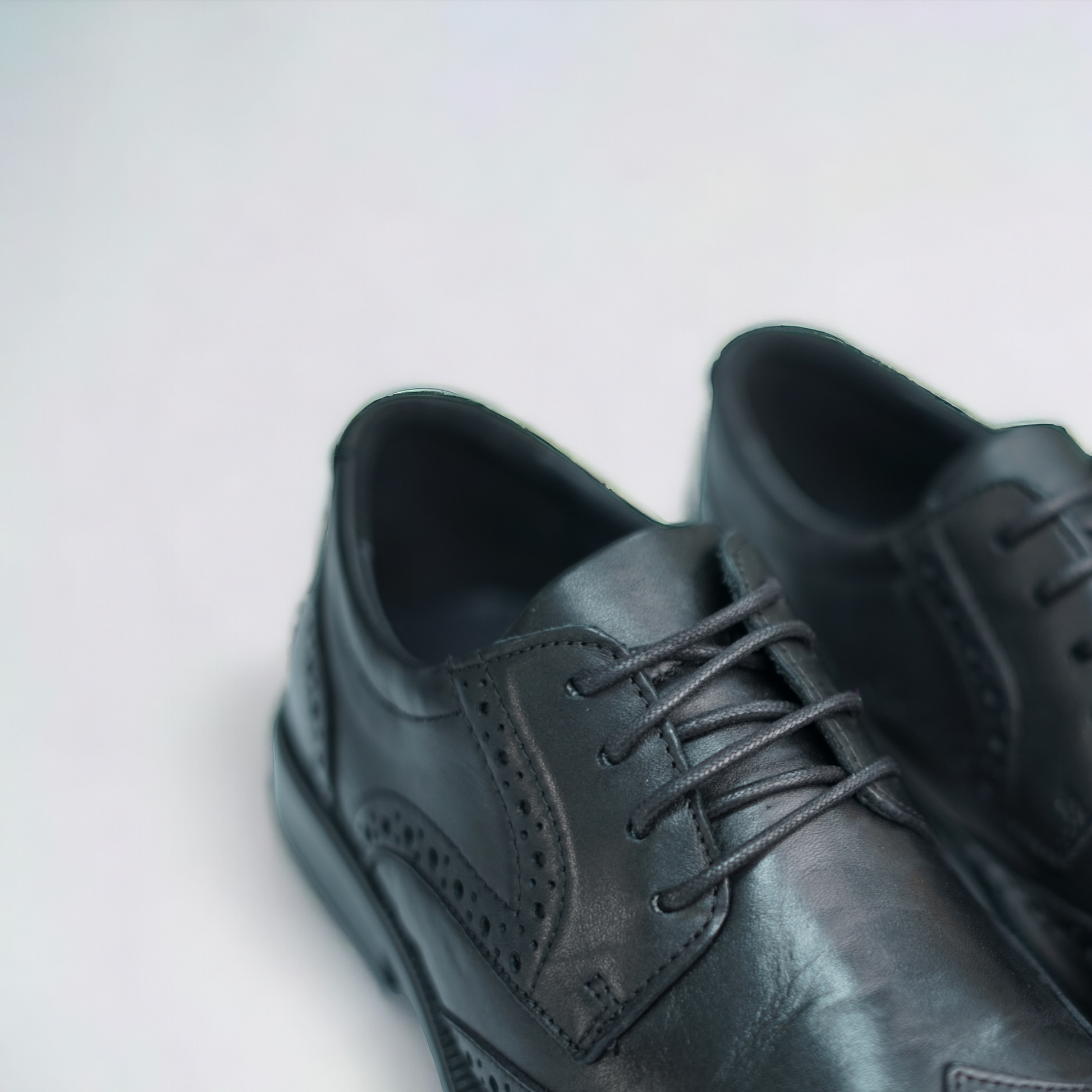 Brogue Giorgio - STILNOVO