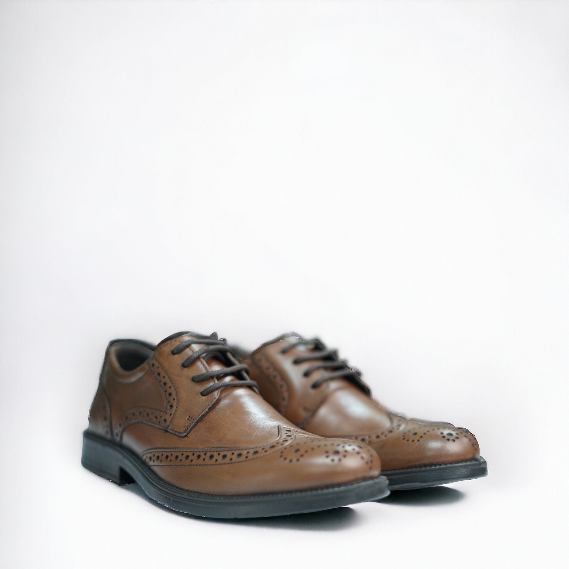 Brogue Silvio - STILNOVO