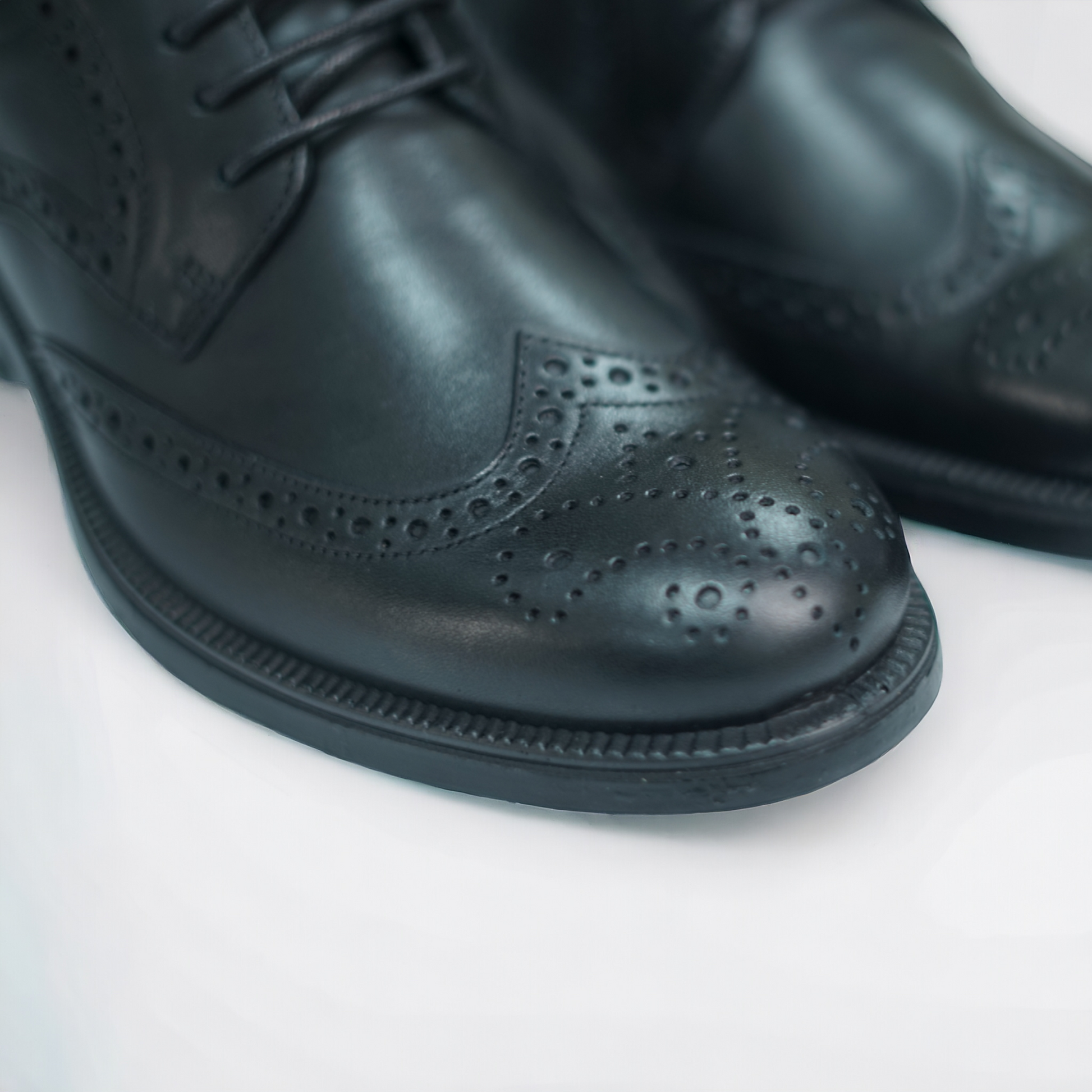 Brogue Giorgio - STILNOVO