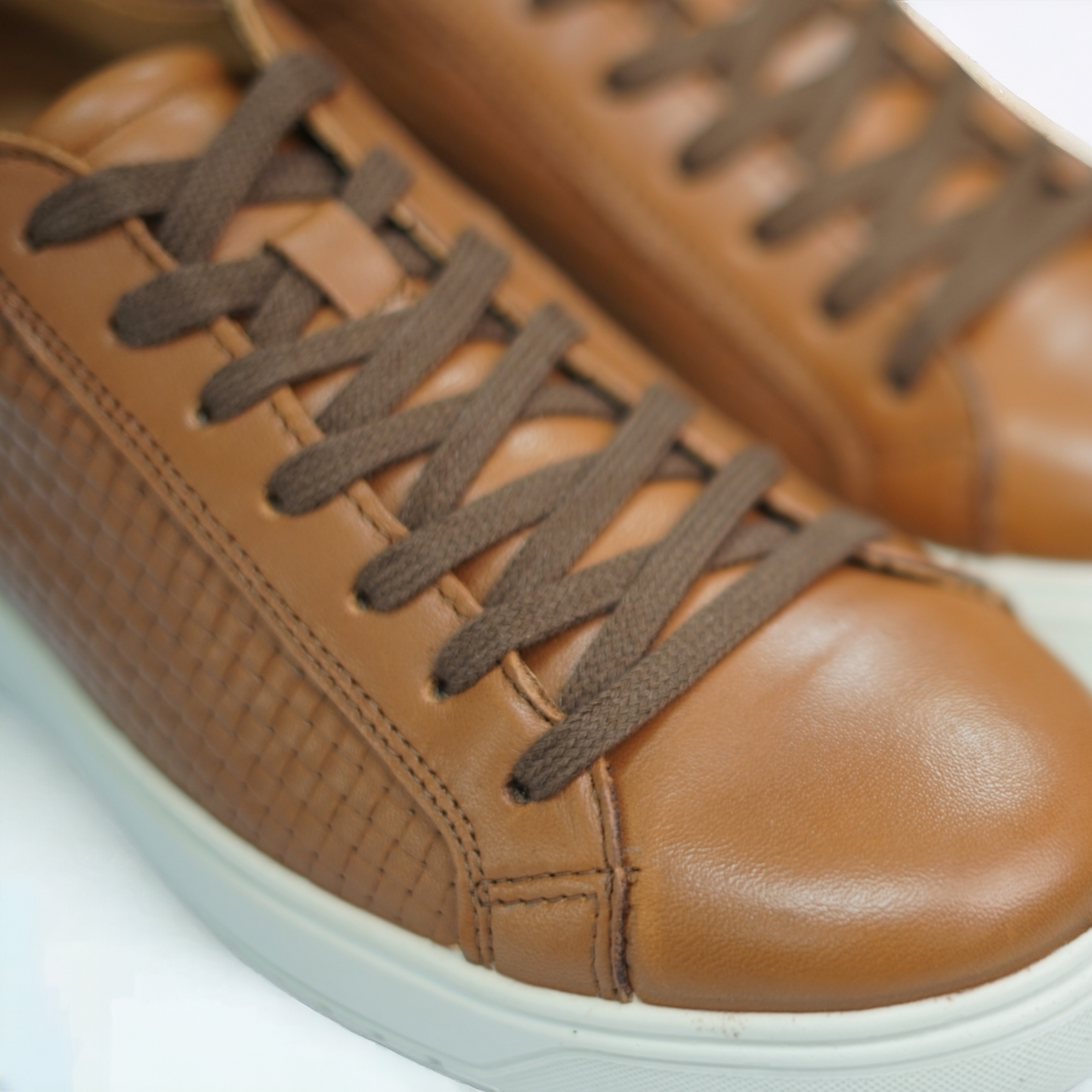 Sneakers Leonardo - STILNOVO