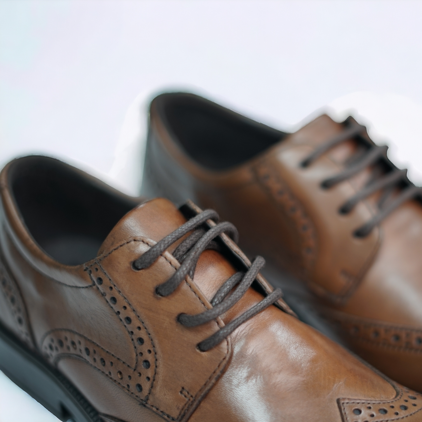 Brogue Silvio - STILNOVO